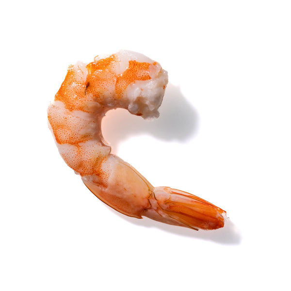 Shrimp No. 679