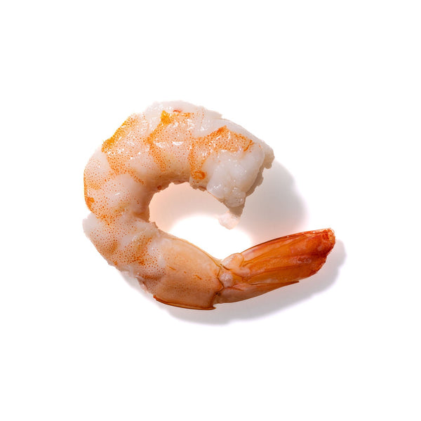 Shrimp No. 681