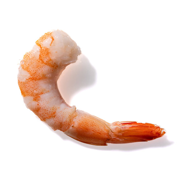 Shrimp No. 683