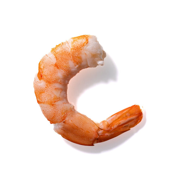 Shrimp No. 686