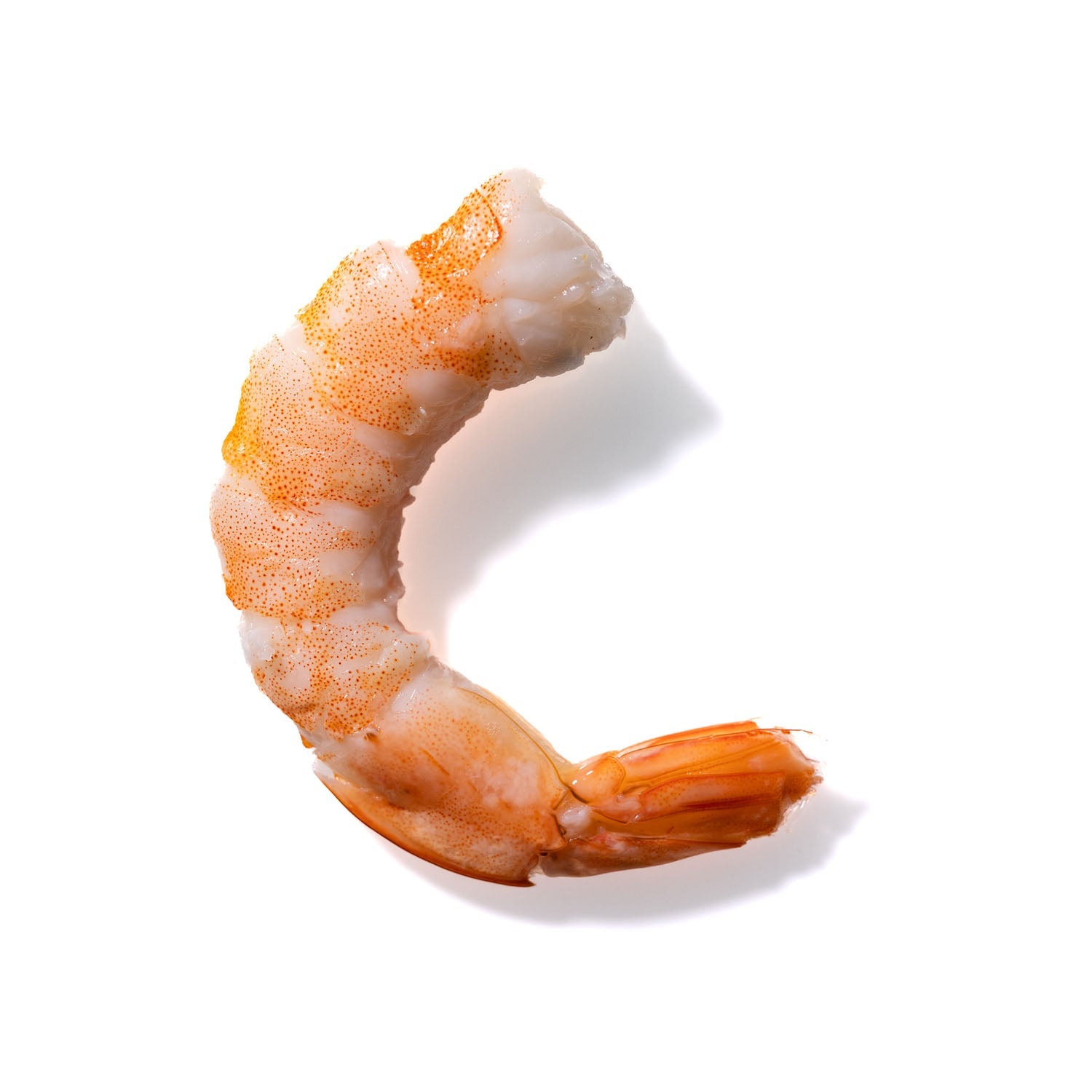 Shrimp No. 687