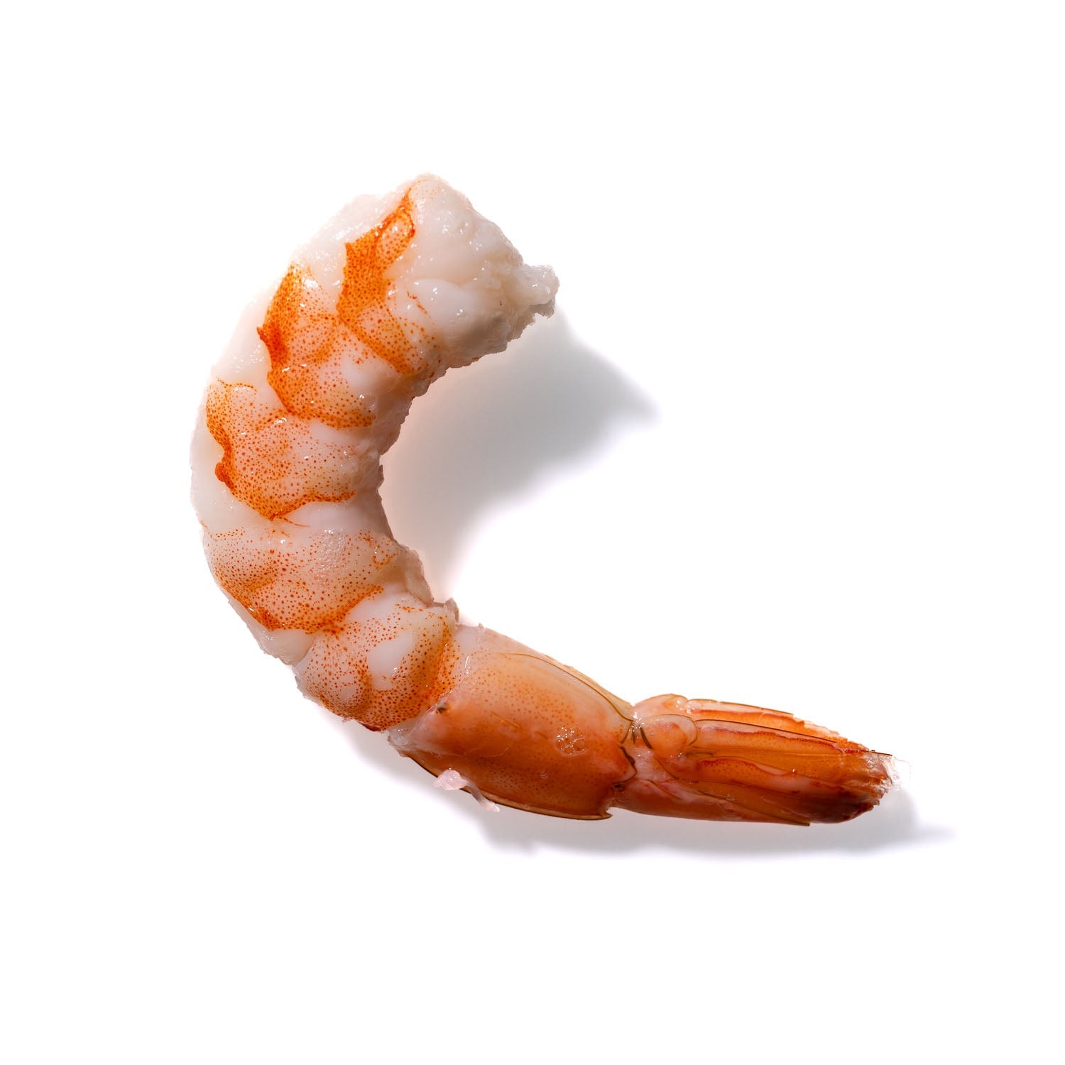 Shrimp No. 688