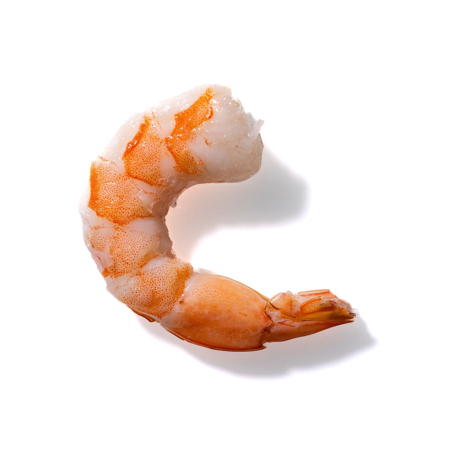 Shrimp No. 689