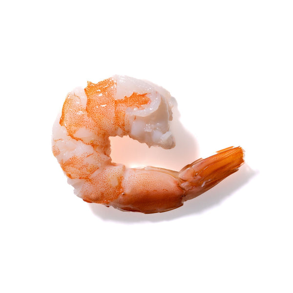 Shrimp No. 691