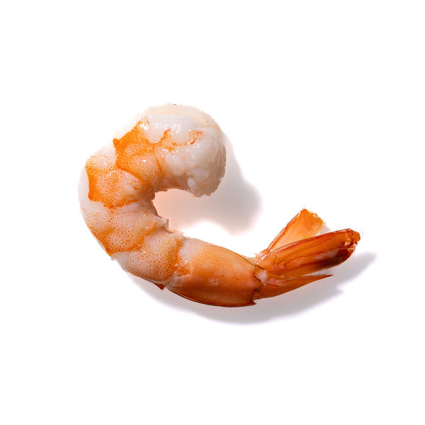 Shrimp No. 693