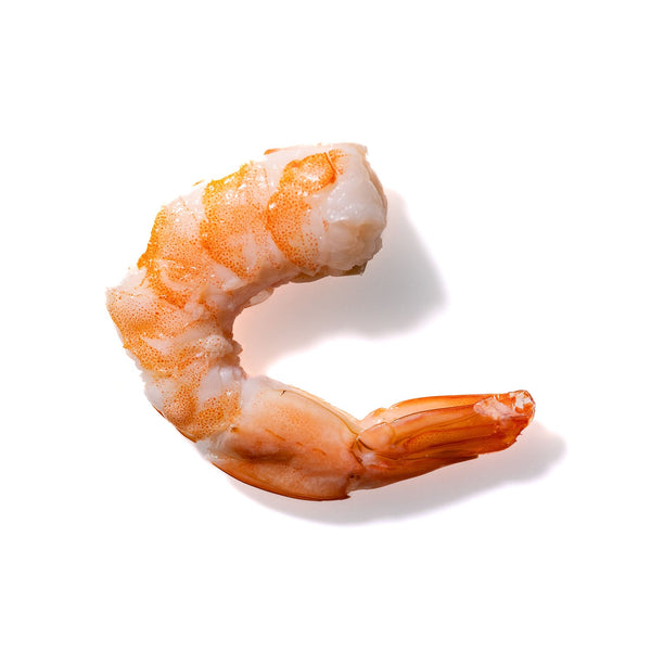 Shrimp No. 695