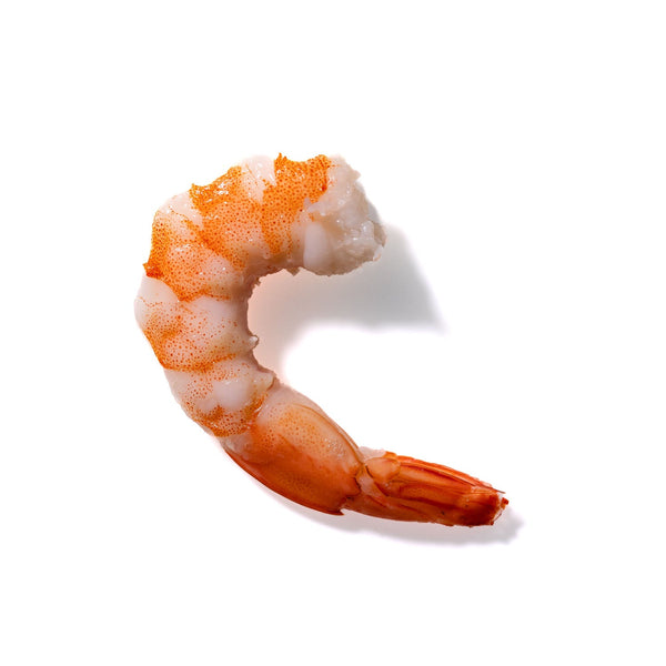 Shrimp No. 696