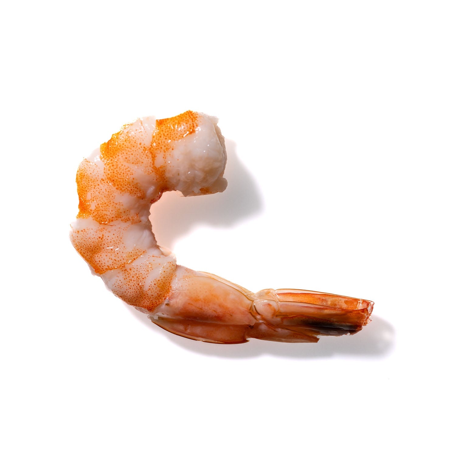 Shrimp No. 701