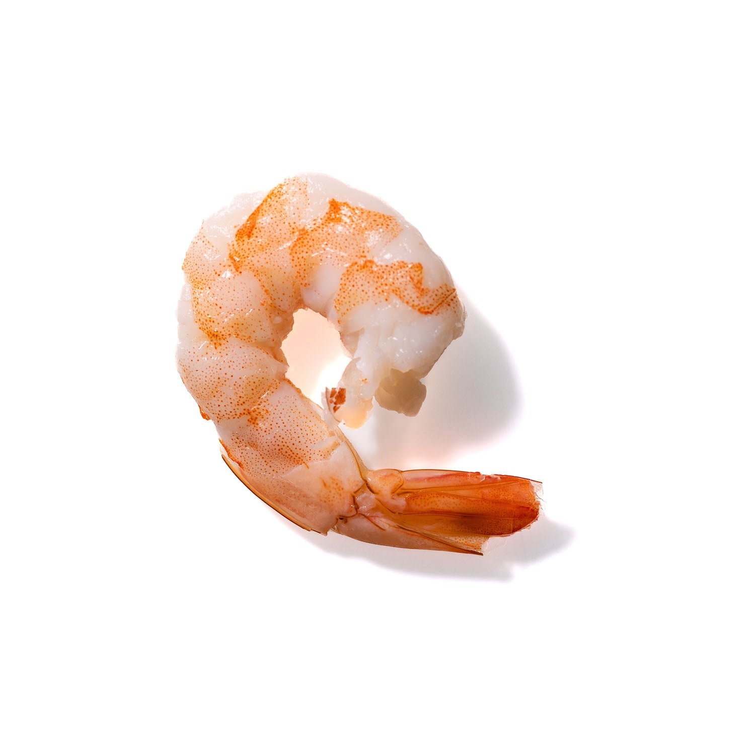 Shrimp No. 706