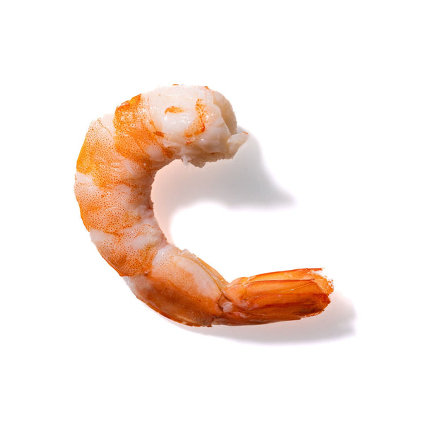 Shrimp No. 707