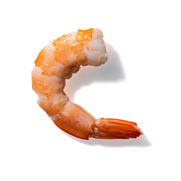 Shrimp No. 708