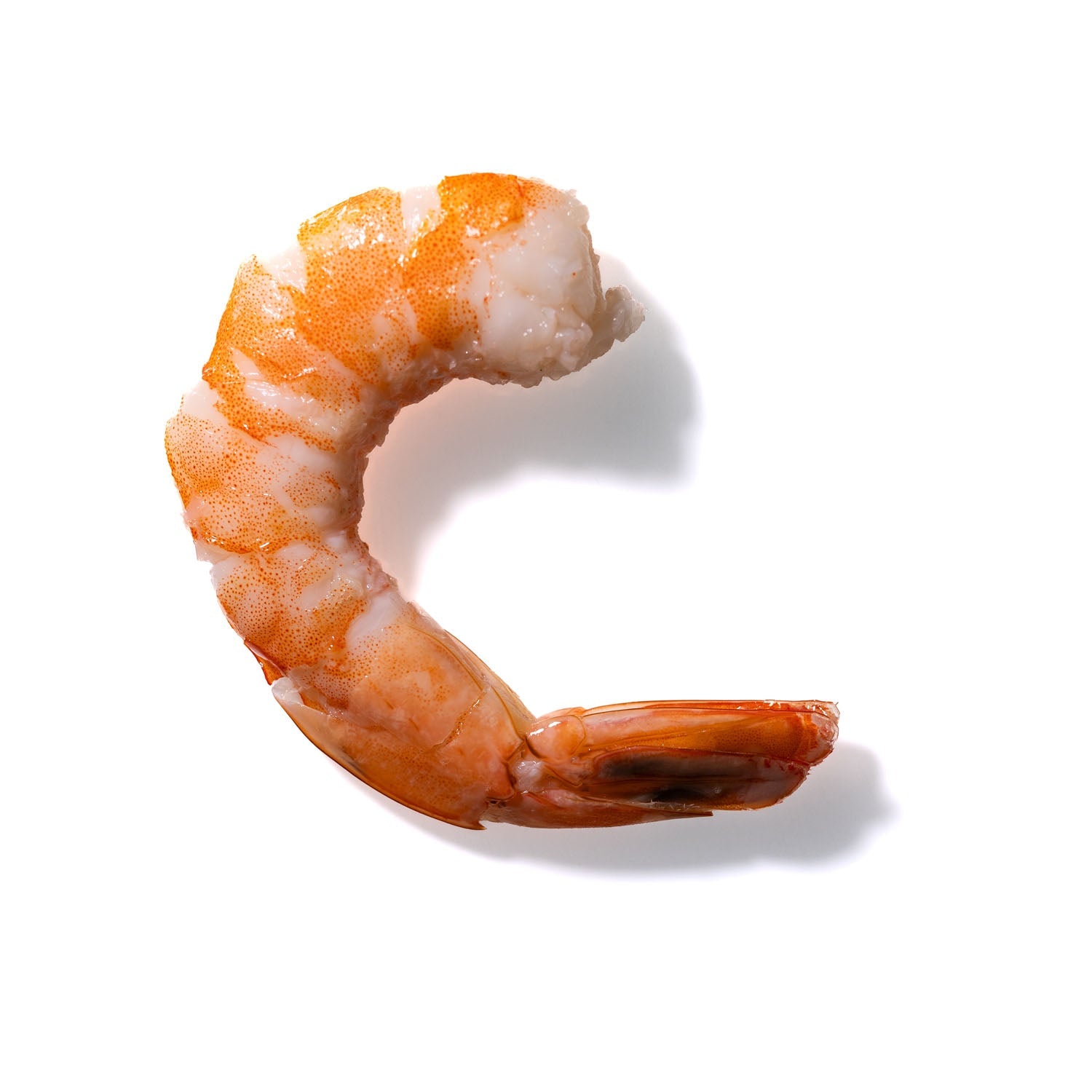 Shrimp No. 710