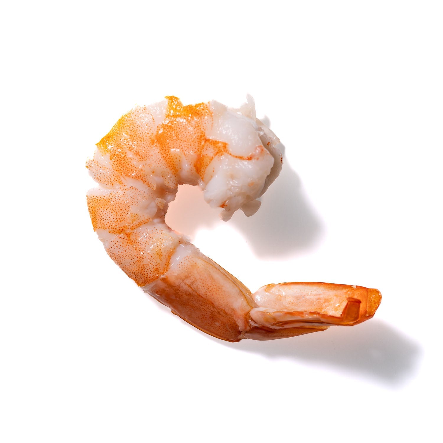 Shrimp No. 711