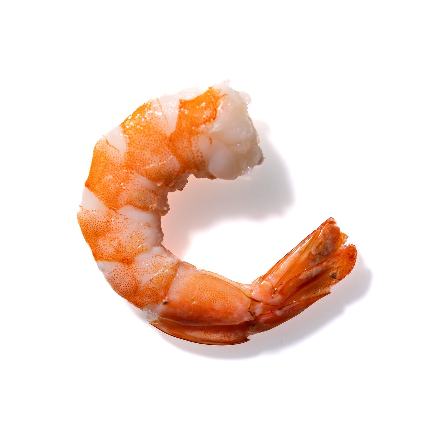 Shrimp No. 714