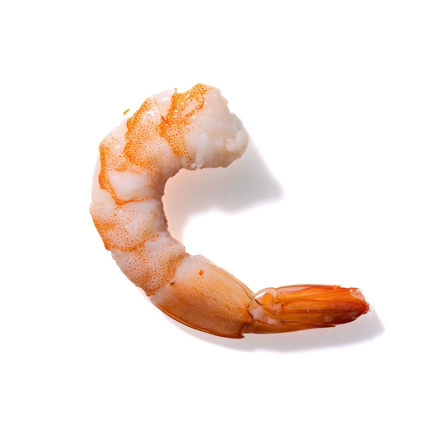 Shrimp No. 716