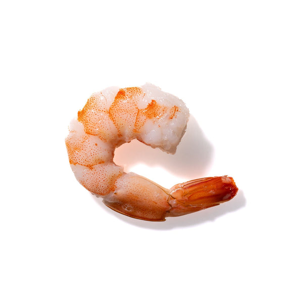 Shrimp No. 719