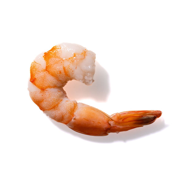 Shrimp No. 720