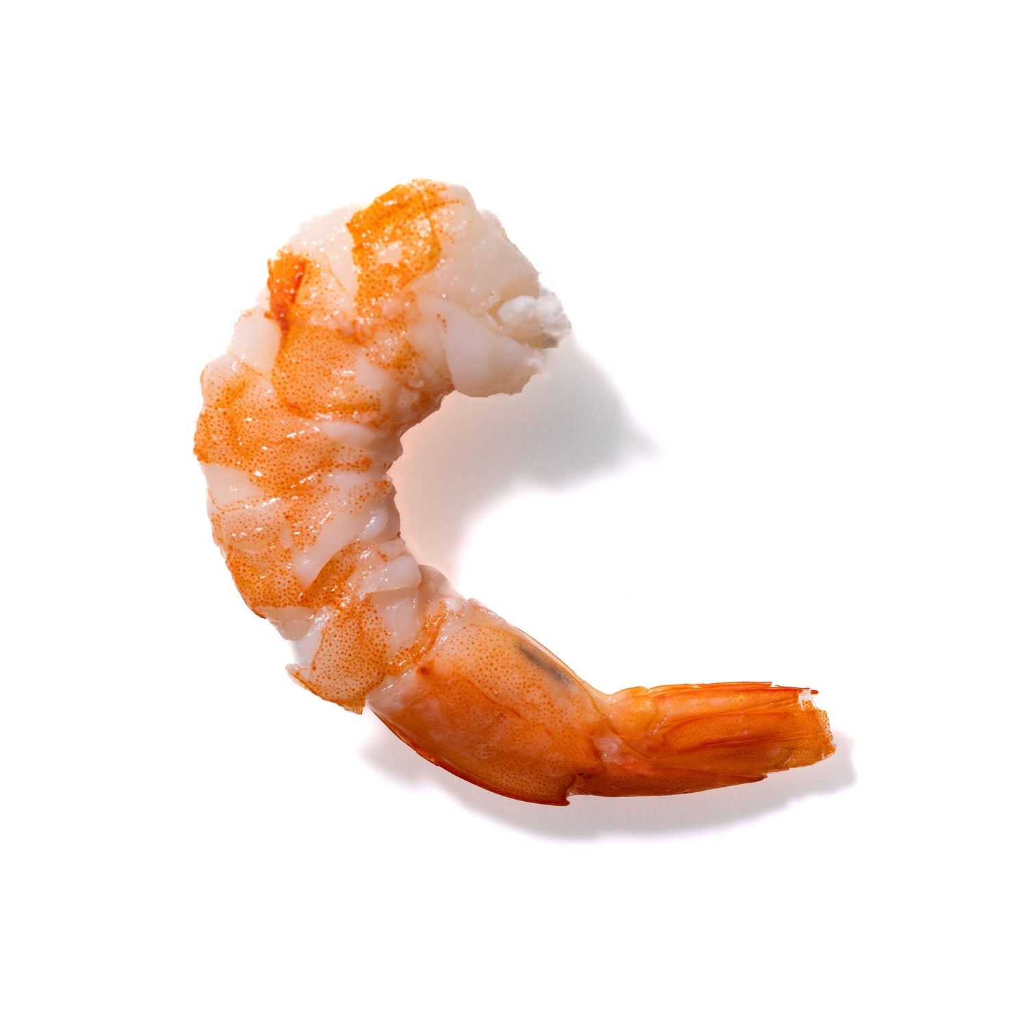 Shrimp No. 722