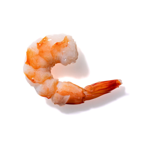 Shrimp No. 723