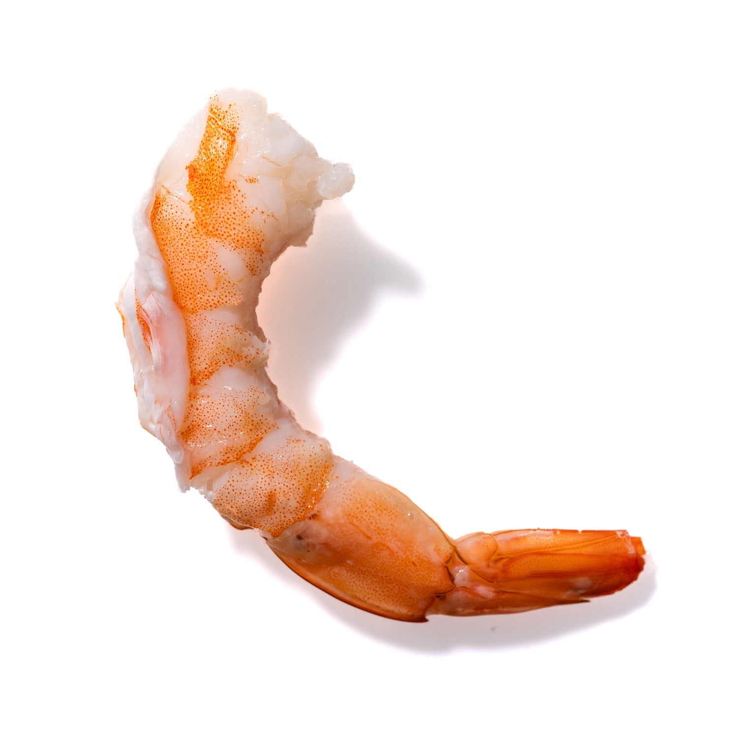 Shrimp No. 725