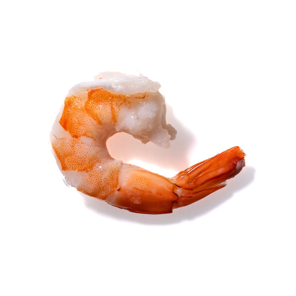 Shrimp No. 727