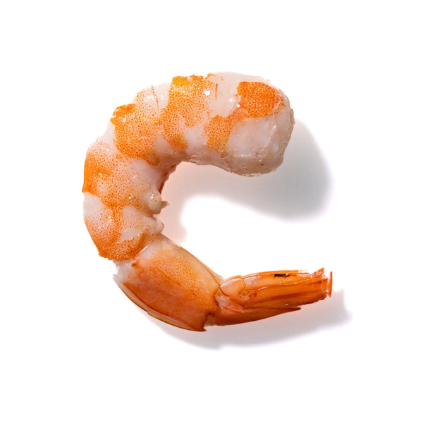 Shrimp No. 728