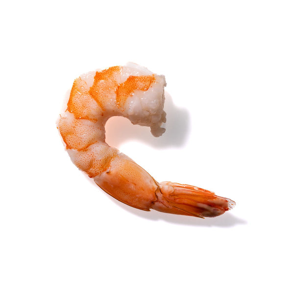 Shrimp No. 731