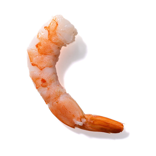 Shrimp No. 732