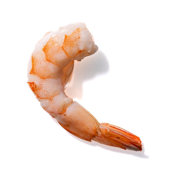 Shrimp No. 734