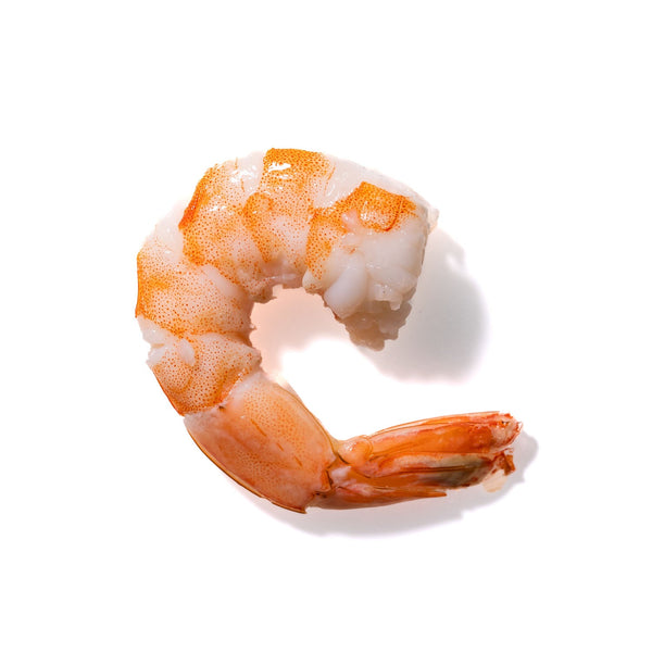 Shrimp No. 737