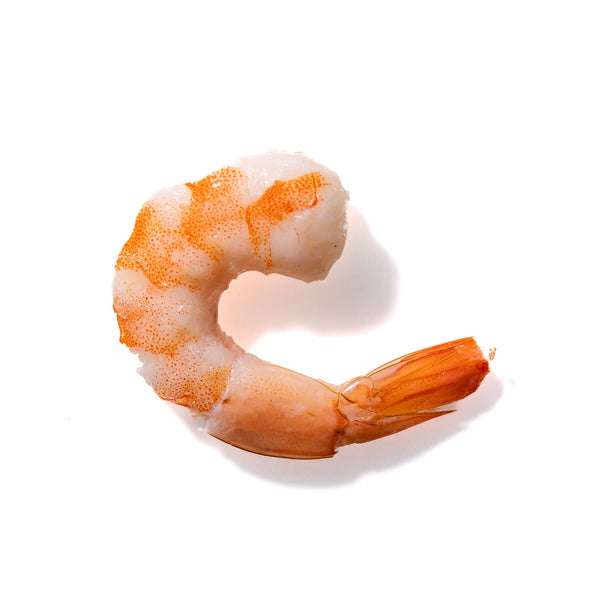 Shrimp No. 738