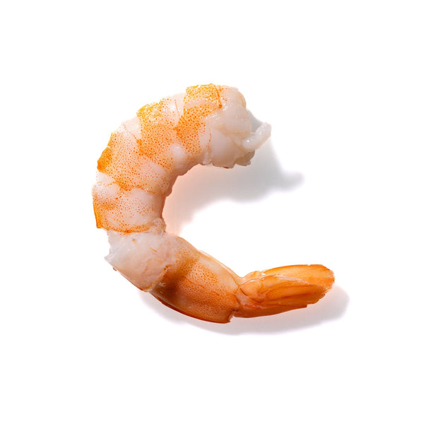 Shrimp No. 741