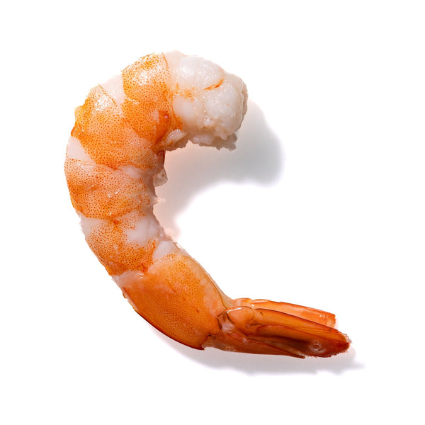 Shrimp No. 745