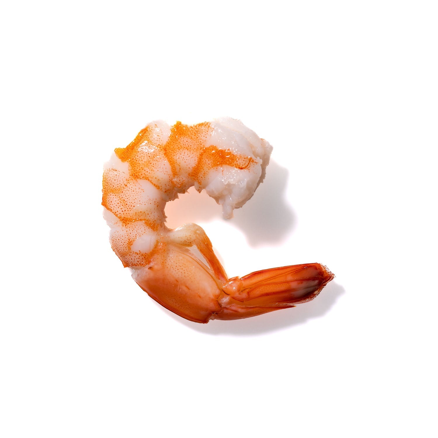 Shrimp No. 750