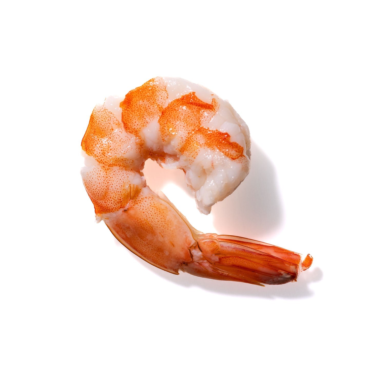 Shrimp No. 752