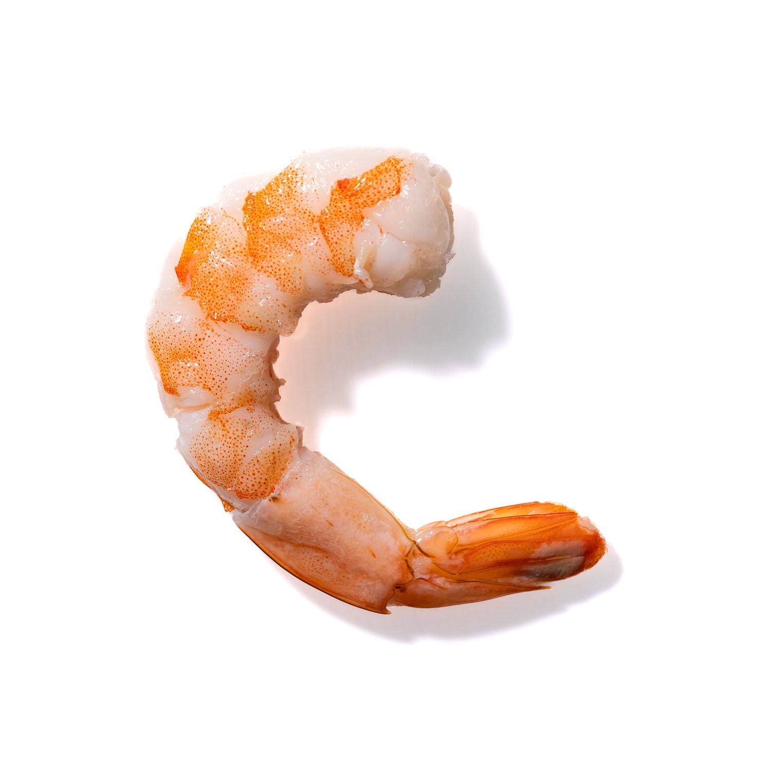 Shrimp No. 757