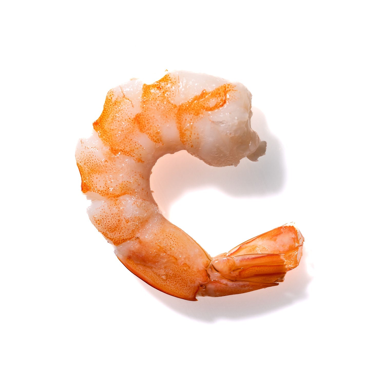 Shrimp No. 758