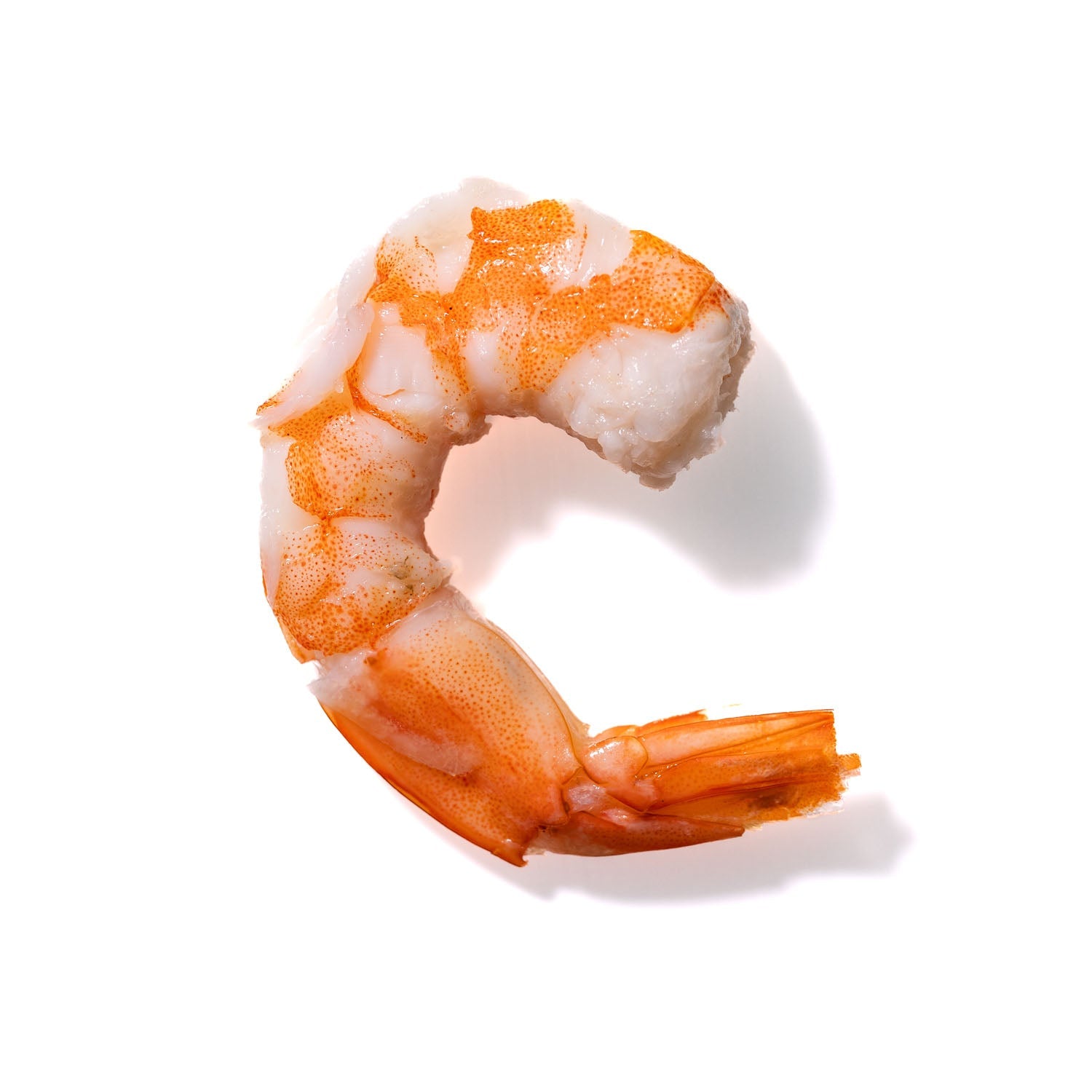 Shrimp No. 759