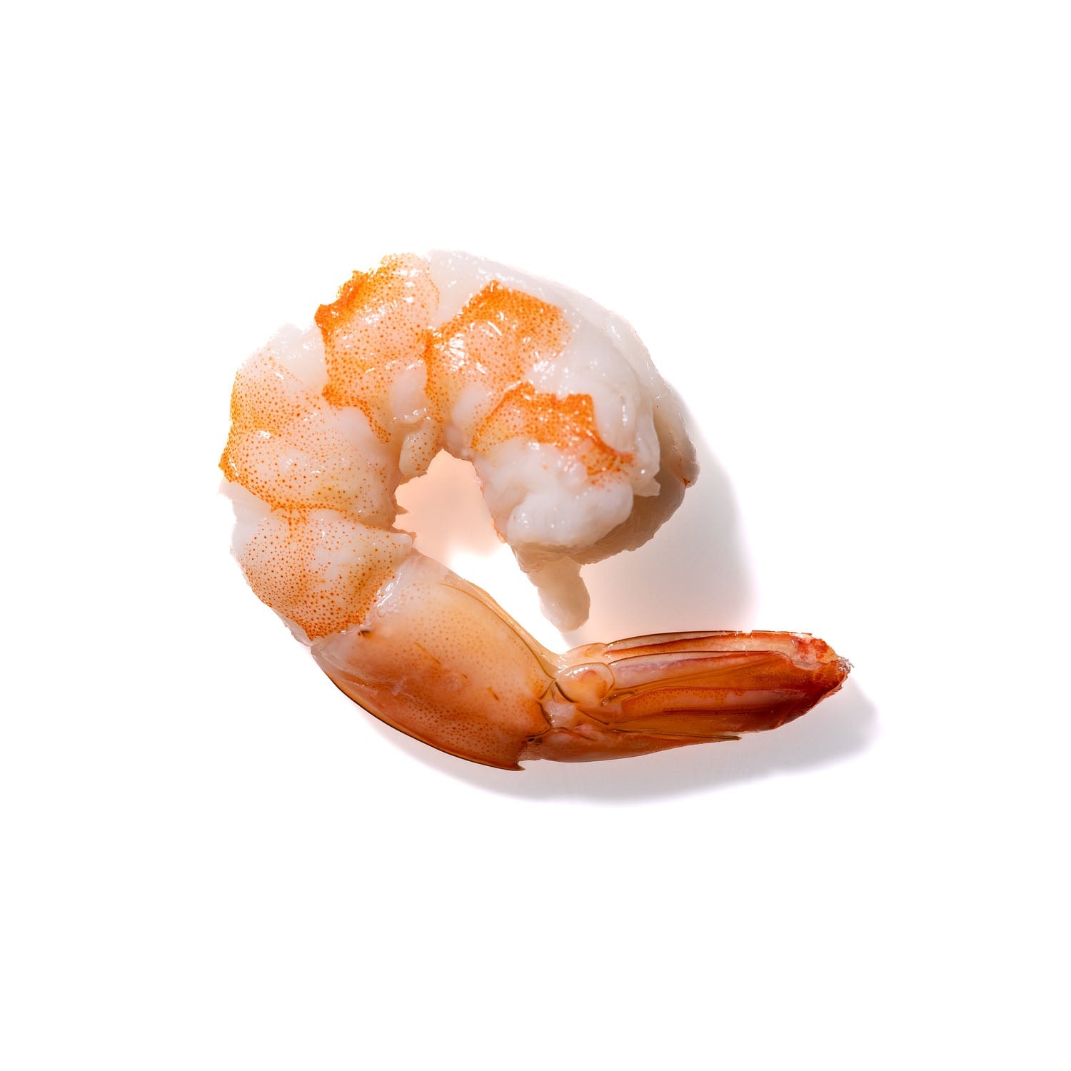 Shrimp No. 765