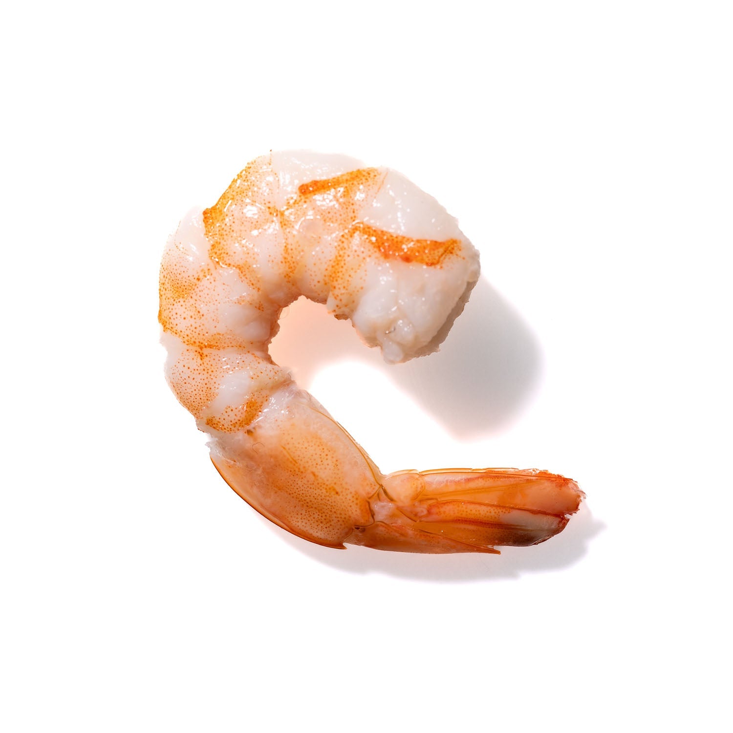 Shrimp No. 766