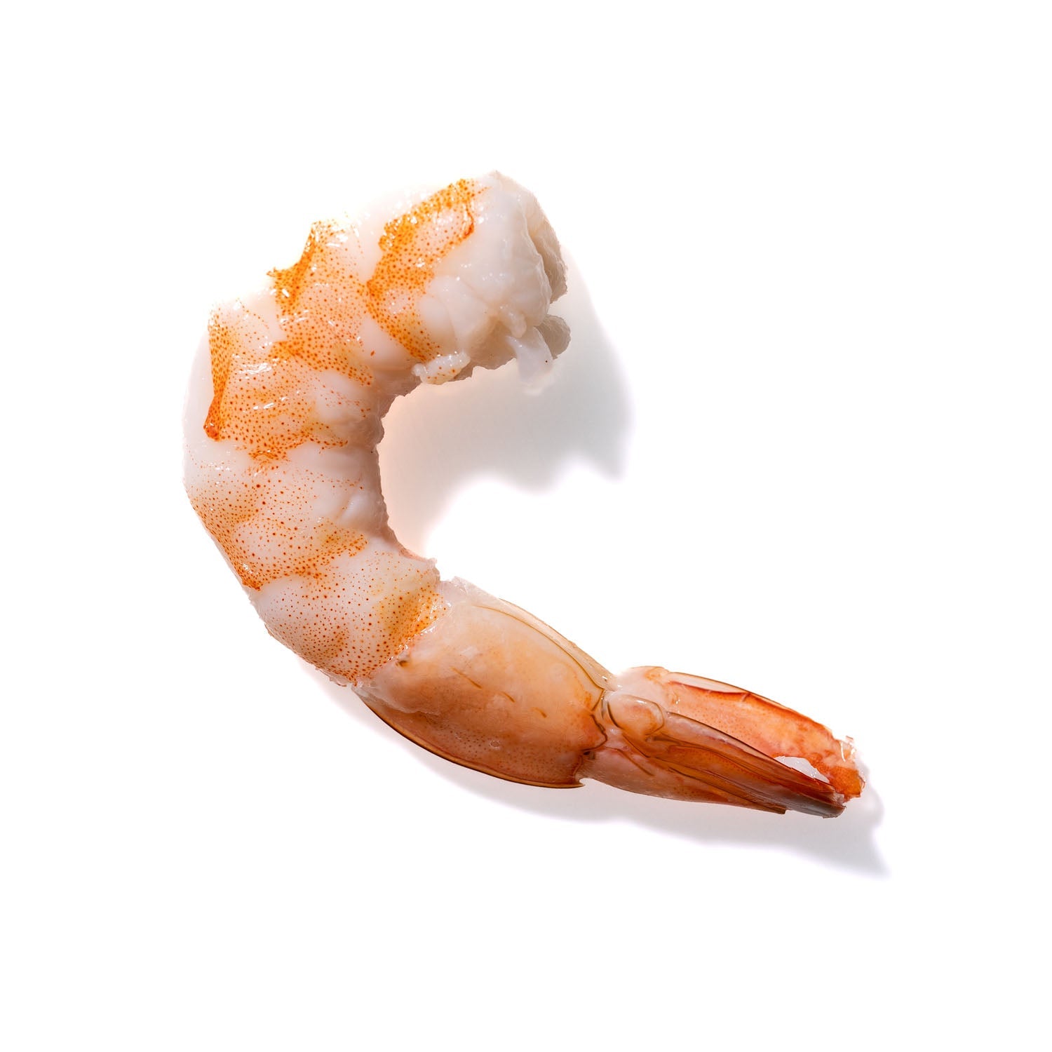 Shrimp No. 767