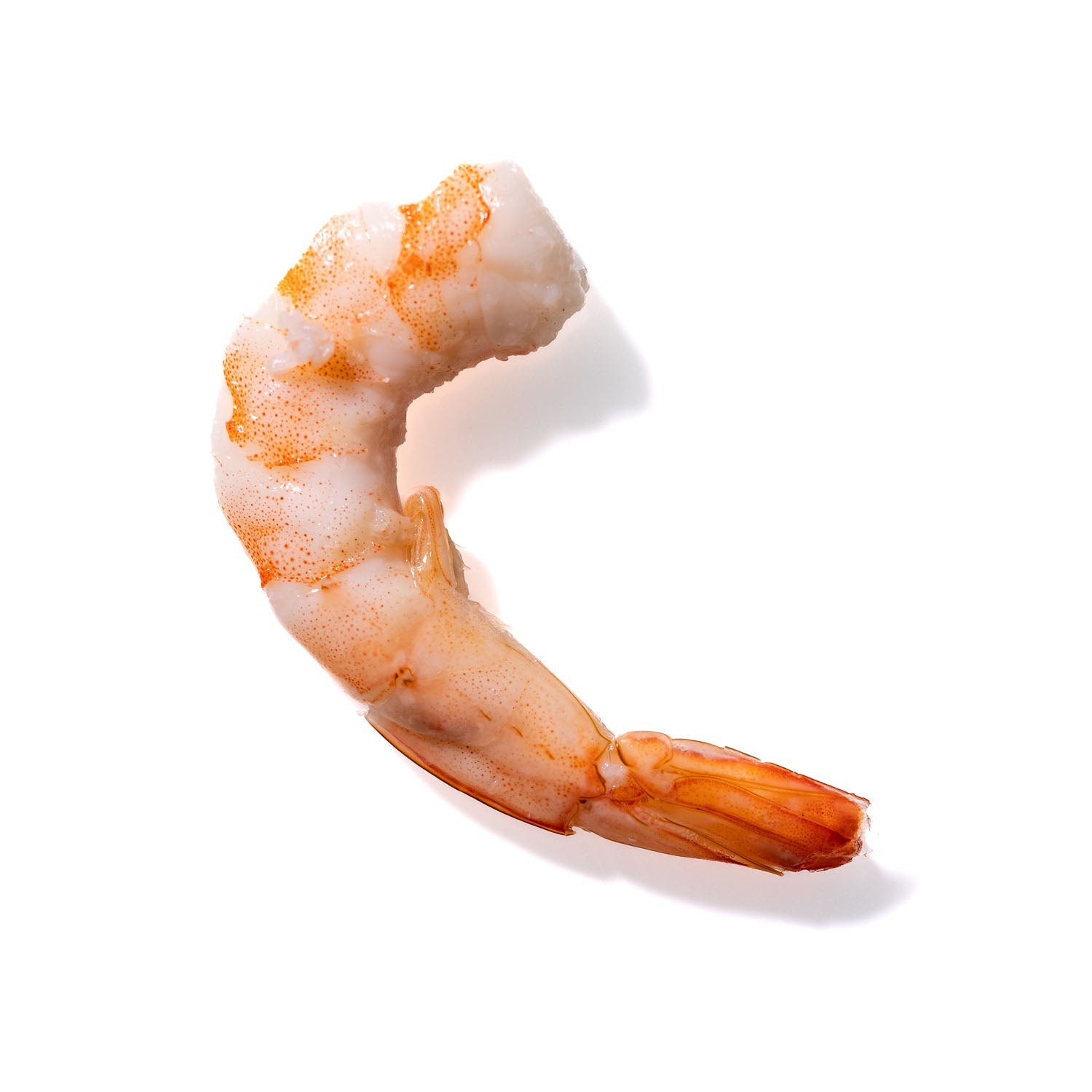 Shrimp No. 769