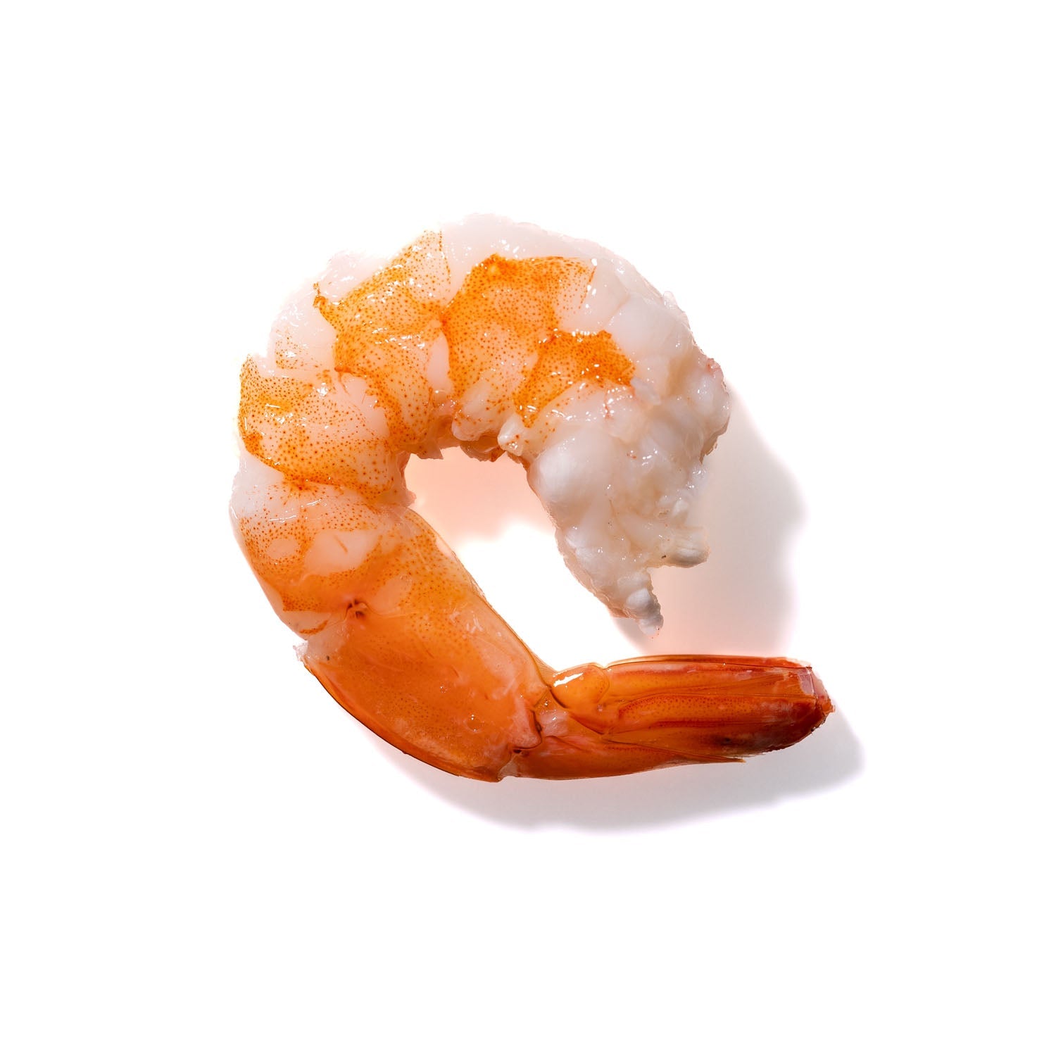 Shrimp No. 770