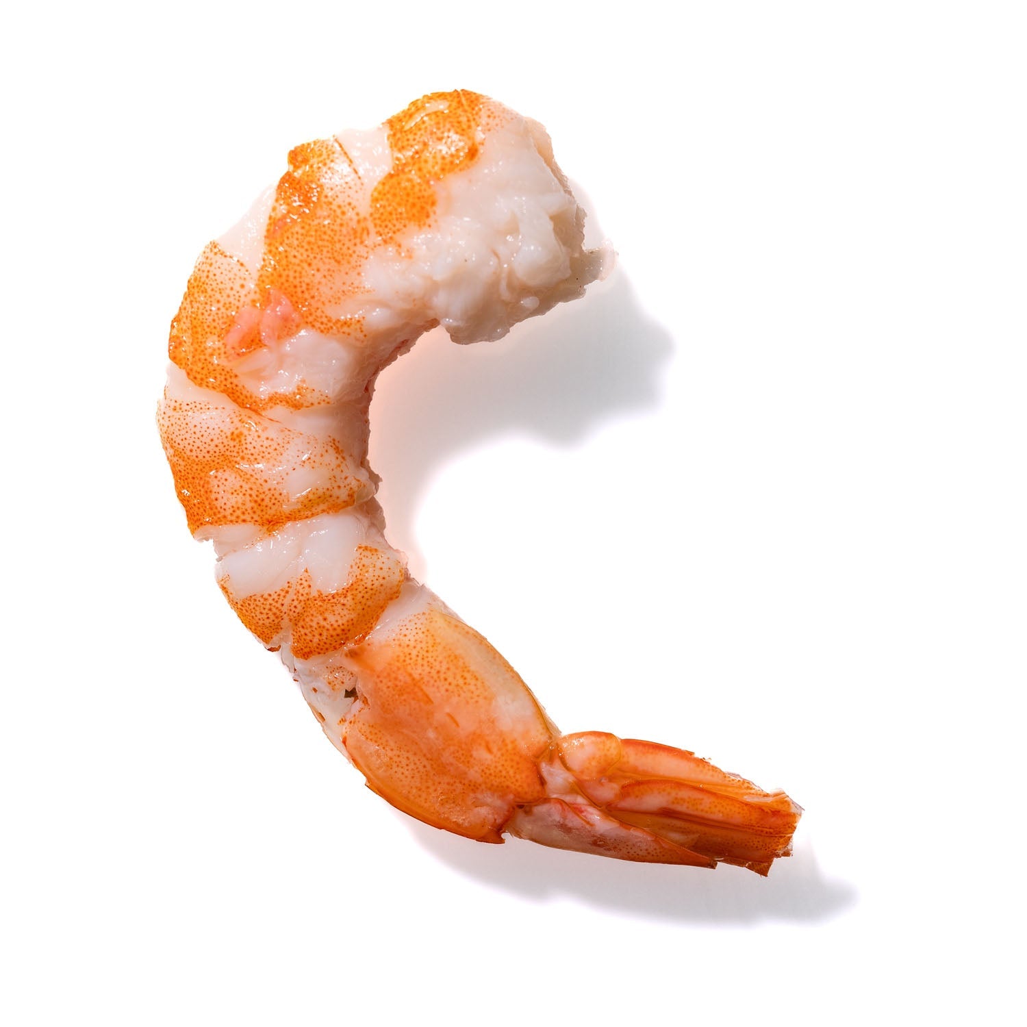 Shrimp No. 774