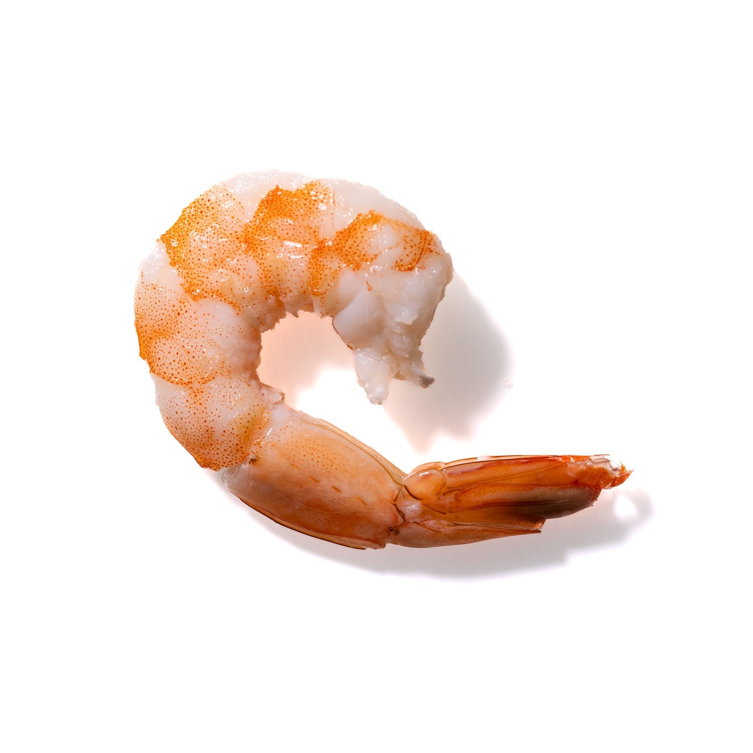 Shrimp No. 780