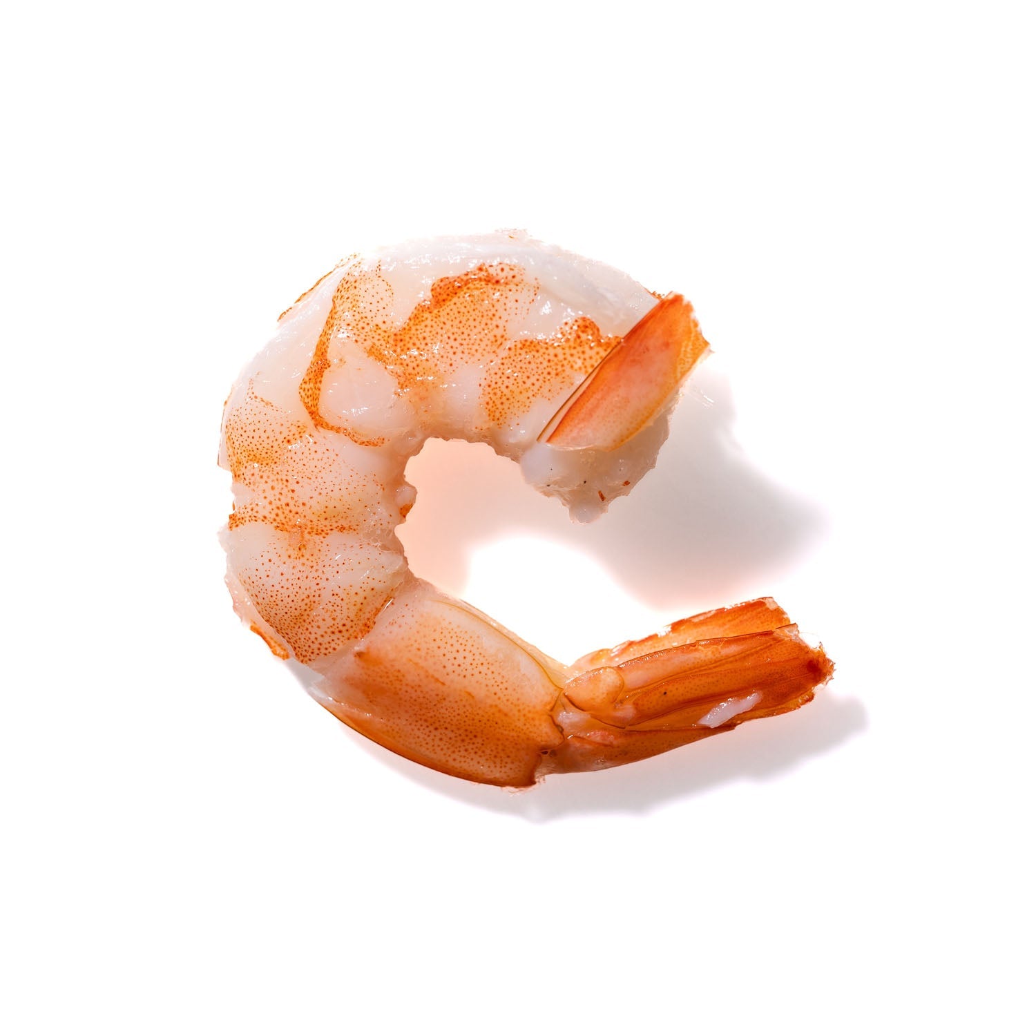 Shrimp No. 785