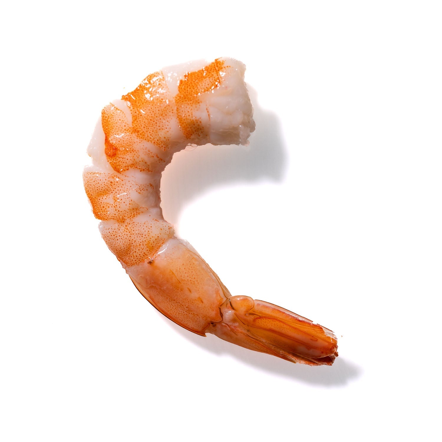 Shrimp No. 799