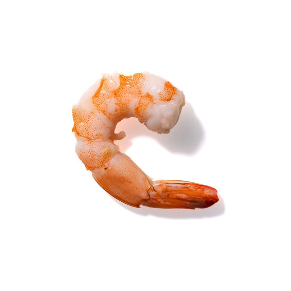 Shrimp No. 802