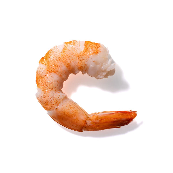 Shrimp No. 803