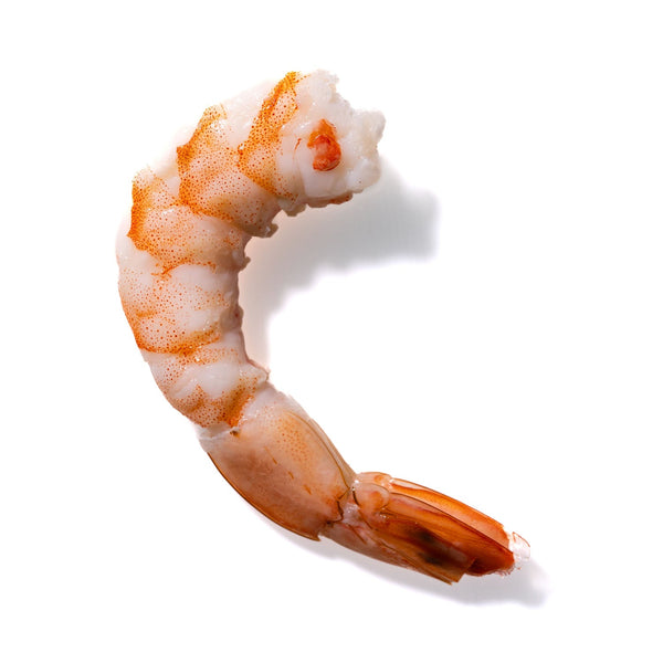 Shrimp No. 804